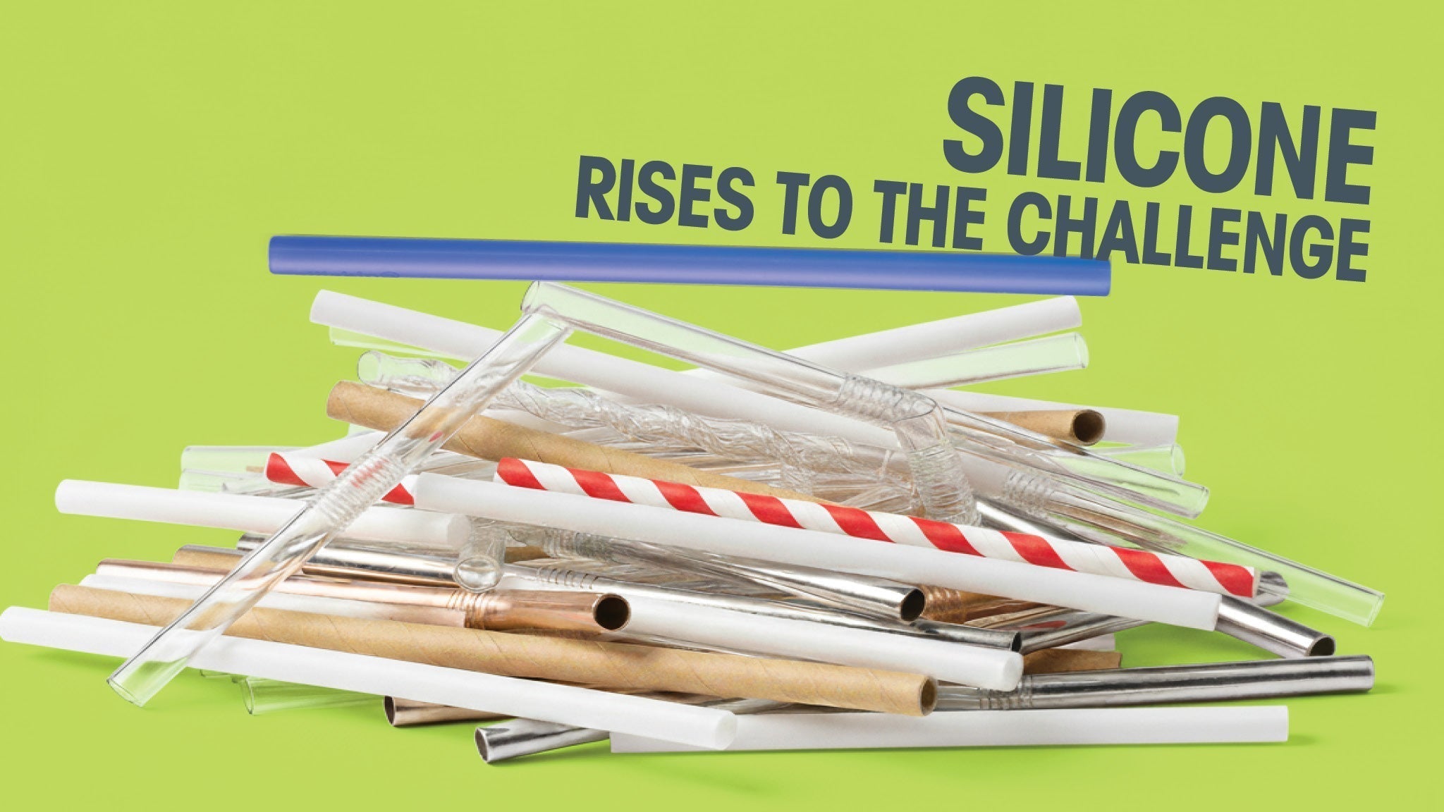 GoSili: The Superior Straw Showdown - GoSili