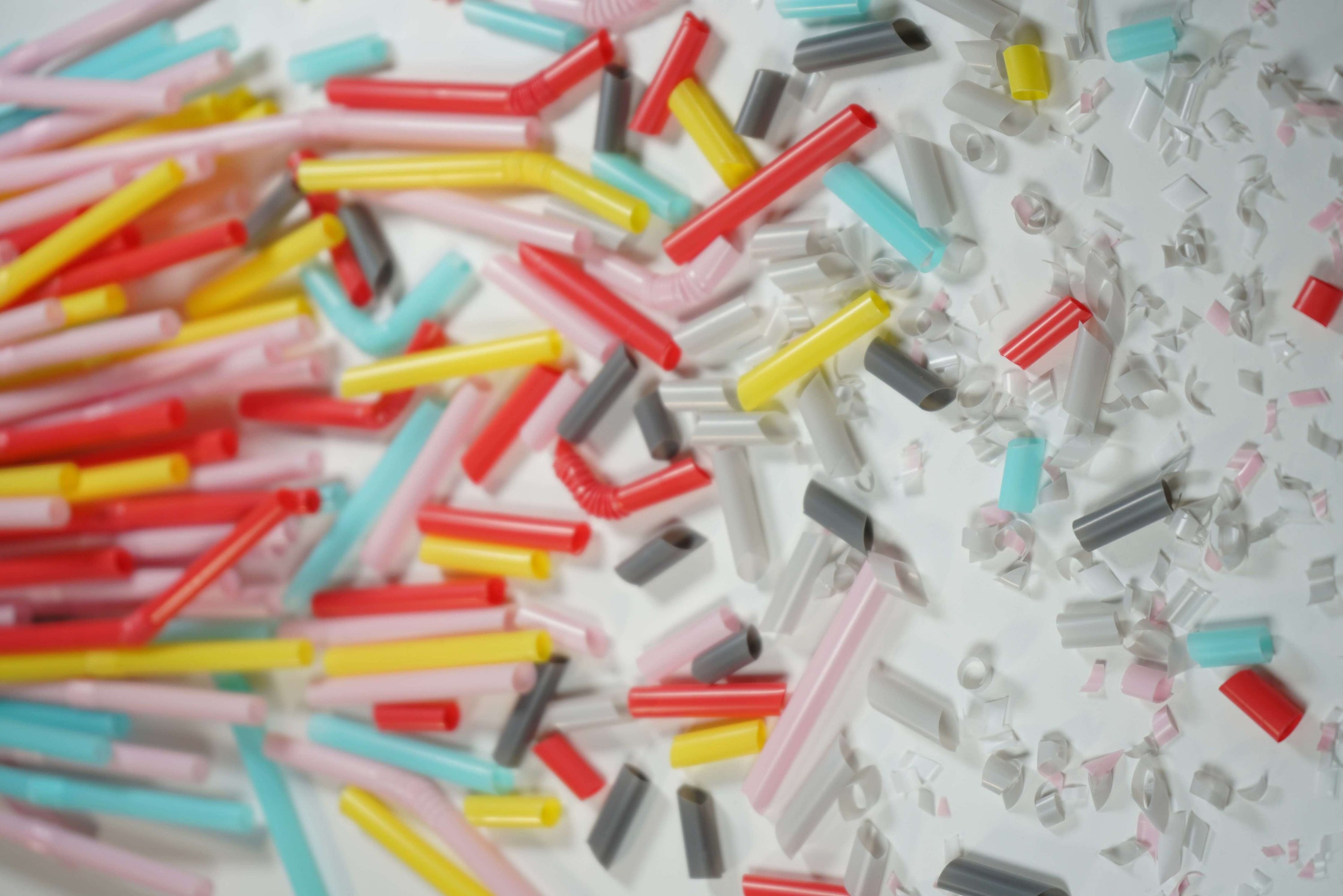 Looking Back on The Story of Plastic: Where Did It Come From? - GoSili