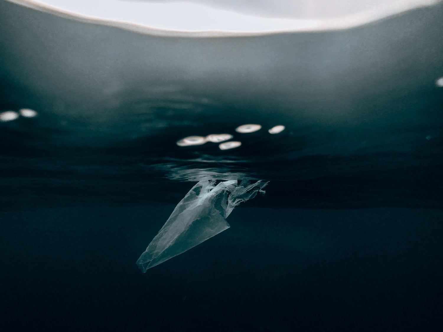 How We’re #UnwrappingTheFuture With Tom Ford and Lonely Whale - GoSili
