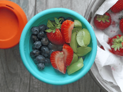 Silibowl Reusable Silicone Bowl for Kids - GoSili
